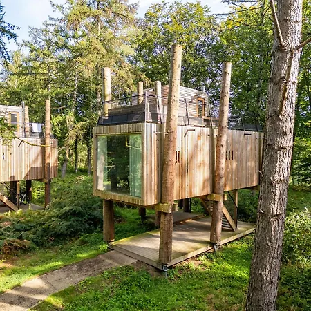Dom wakacyjny Treehouse Near Tournai With Sauna Retreat