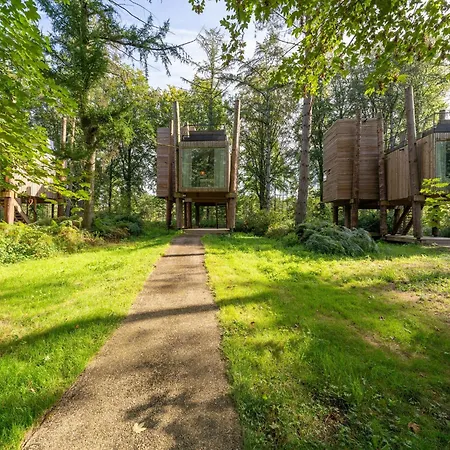 Treehouse Near Tournai With Sauna Retreat Antoing