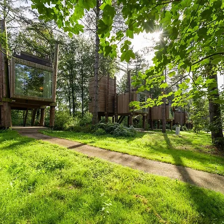 Treehouse Near Tournai With Sauna Retreat * Antoing